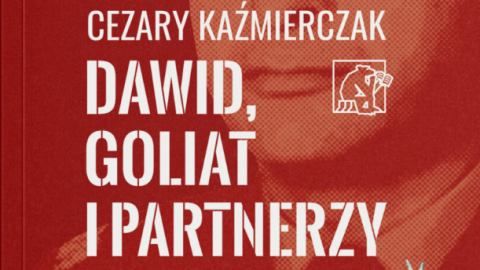 Dawid Goliat i Partnerzy - okładka książki
